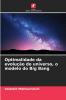 Optimalidade da evolução do universo o modelo do Big Bang