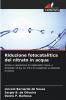 Riduzione fotocatalitica del nitrato in acqua
