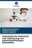 Hydrolytische Hydrolyse und Hydrierung von kohlenstoffhaltigen Rohstoffen