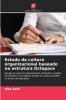 Estudo da cultura organizacional baseado na estrutura Octapace
