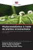 Phytoremédiation à l'aide de plantes ornementales