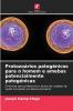 Protozoários patogénicos para o homem e amebas potencialmente patogénicas
