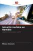 Sécurité routière en Namibie