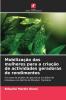 Mobilização das mulheres para a criação de actividades geradoras de rendimentos