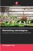Marketing estratégico