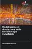 Modellazione di simulazione nella biotecnologia industriale