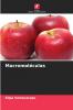 Macromoléculas