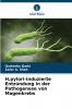H.pylori-induzierte Entzündung in der Pathogenese von Magenkrebs