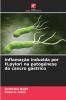 Inflamação induzida por H.pylori na patogénese do cancro gástrico