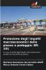 Proiezione degli impatti macroeconomici delle piazze a pedaggio