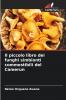 Il piccolo libro dei funghi simbionti commestibili del Camerun