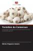 Termites du Cameroun