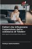 Fattori che influenzano l'espansione dell'e-commerce di Telebirr