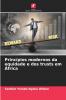 Princípios modernos da equidade e dos trusts em África