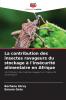 La contribution des insectes ravageurs du stockage à l'insécurité alimentaire en Afrique