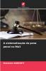 A sistematização da pena penal no Mali