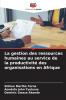 La gestion des ressources humaines au service de la productivité des organisations en Afrique