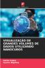 VISUALIZAÇÃO DE GRANDES VOLUMES DE DADOS UTILIZANDO NANOCUBOS