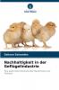 Nachhaltigkeit in der Geflügelindustrie