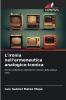 L'ironia nell'ermeneutica analogico-iconica