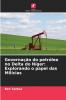 Governação do petróleo no Delta do Níger