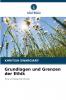 Grundlagen und Grenzen der Ethik