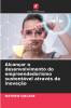 Alcançar o desenvolvimento do empreendedorismo sustentável através da inovação