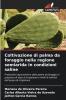 Coltivazione di palma da foraggio nella regione semiarida in condizioni saline