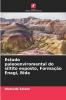 Estudo paleoenviromental do siltito exposto Formação Enagi Bida