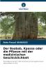 Der Baobab Kpassa oder die Pflanze mit der medizinischen Geschicklichkeit