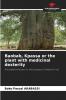 Baobab Kpassa or the plant with medicinal dexterity
