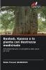 Baobab Kpassa o la pianta con destrezza medicinale