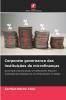 Corporate governance das instituições de microfinanças
