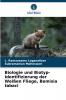 Biologie und Biotyp-Identifizierung der Weißen Fliege Bemisia tabaci