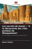 Les secrets de Sumer