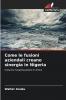 Come le fusioni aziendali creano sinergia in Nigeria
