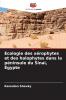 Écologie des xérophytes et des halophytes dans la péninsule du Sinaï Égypte