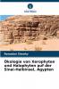 Ökologie von Xerophyten und Halophyten auf der Sinai-Halbinsel Ägypten