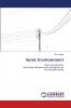Sonic Environment