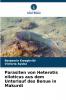 Parasiten von Heterotis niloticus aus dem Unterlauf des Benue in Makurdi