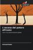 L'ascesa del potere africano