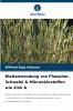 Blattanwendung von Phosphor Schwefel & Mikronährstoffen wie Zink &