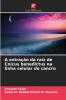 A extração da raiz de Cnicus benedictus na linha celular do cancro