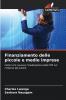Finanziamento delle piccole e medie imprese