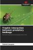 Trophic interaction between predatory bedbugs
