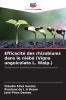 Efficacité des rhizobiums dans le niébé (Vigna unguiculata L. Walp.)