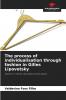The process of individualisation through fashion in Gilles Lipovetsky