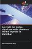 Lo stato del lavoro dignitoso nelle piccole e medie imprese di Zanzibar