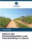 Reform des Sicherheitssektors und Peacebuilding in Liberia