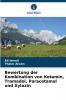 Bewertung der Kombination von Ketamin Tramadol Paracetamol und Xylazin